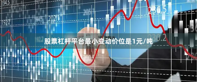 股票杠杆平台最小变动价位是1元/吨