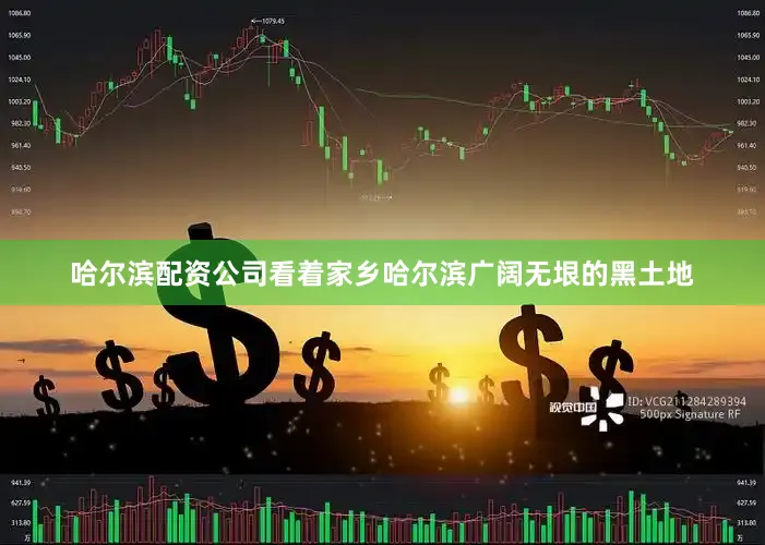 哈尔滨配资公司看着家乡哈尔滨广阔无垠的黑土地