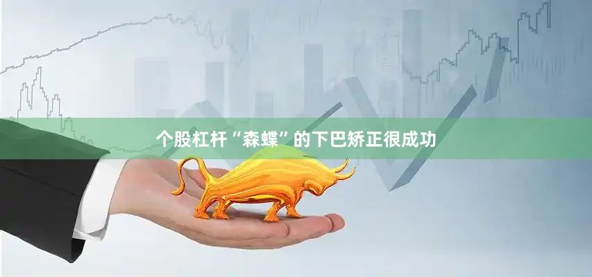 个股杠杆“森蝶”的下巴矫正很成功