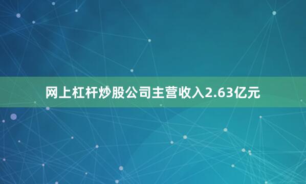 网上杠杆炒股公司主营收入2.63亿元