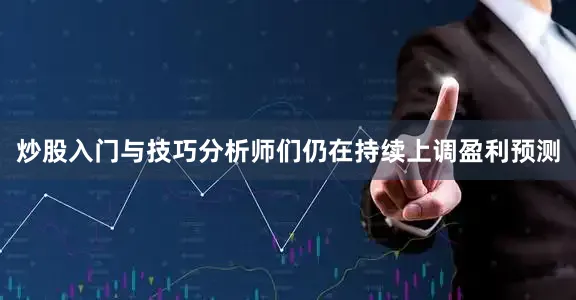 炒股入门与技巧分析师们仍在持续上调盈利预测